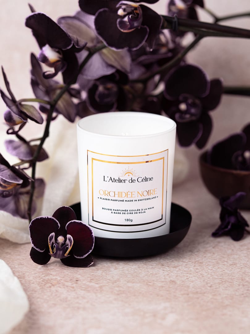 ORCHIDÉE NOIRE